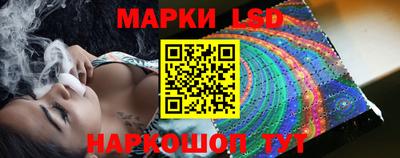 амф Гусев