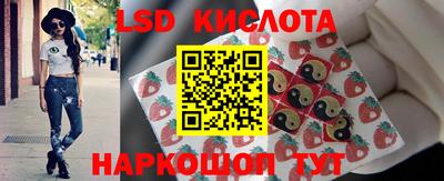 амф Гусев