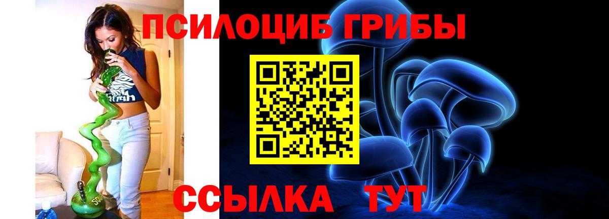 Псилоцибиновые грибы Psilocybe  Вход с VPN  где купить наркотик  Дмитров 